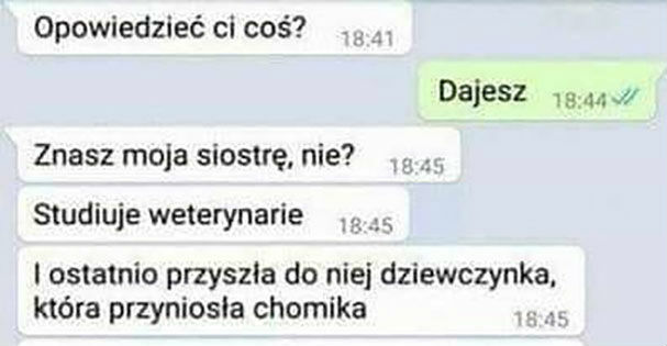 Nietypowa akcja z chomikiem