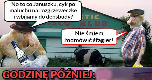 Janusz na dżamprezie :D