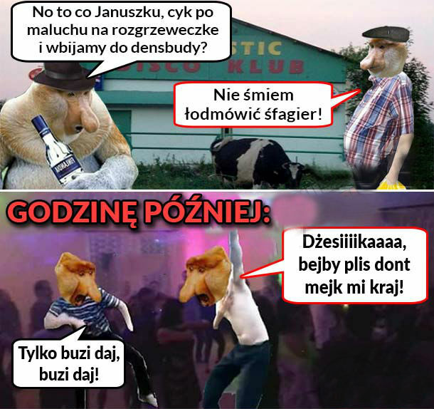 Janusz na dżamprezie :D