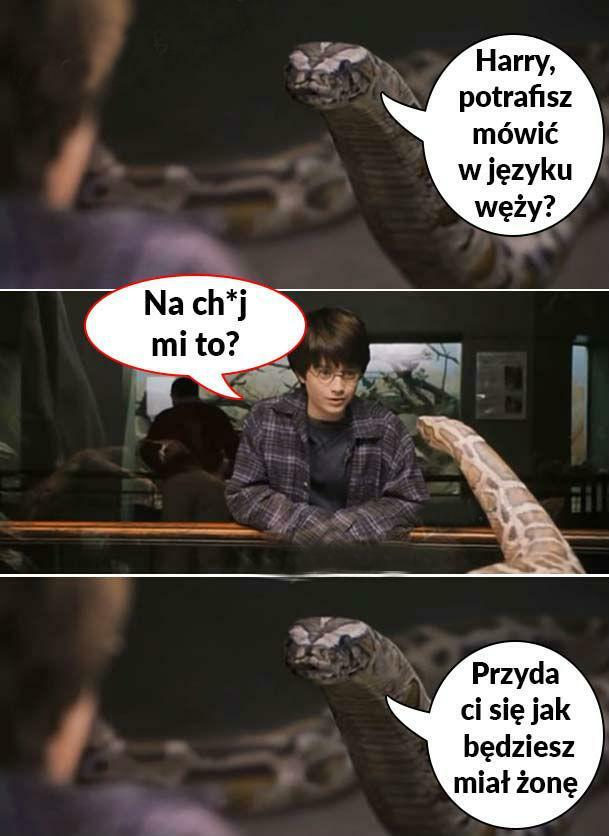 Język węży