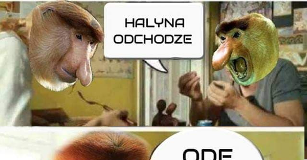 Kiedy Janusz powie, że odchodzi :D