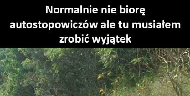 Nietypowy autostopowicz. Nie miał wyjścia, musiał go zabrać!