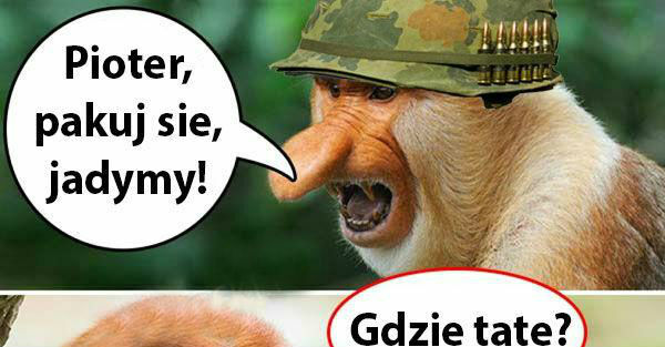 Bombowy plan Janusza :D