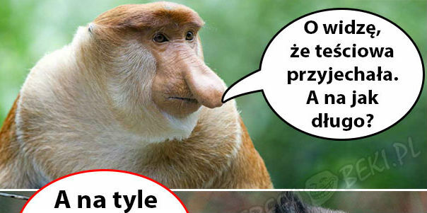 Przyjazd teściowej :D 