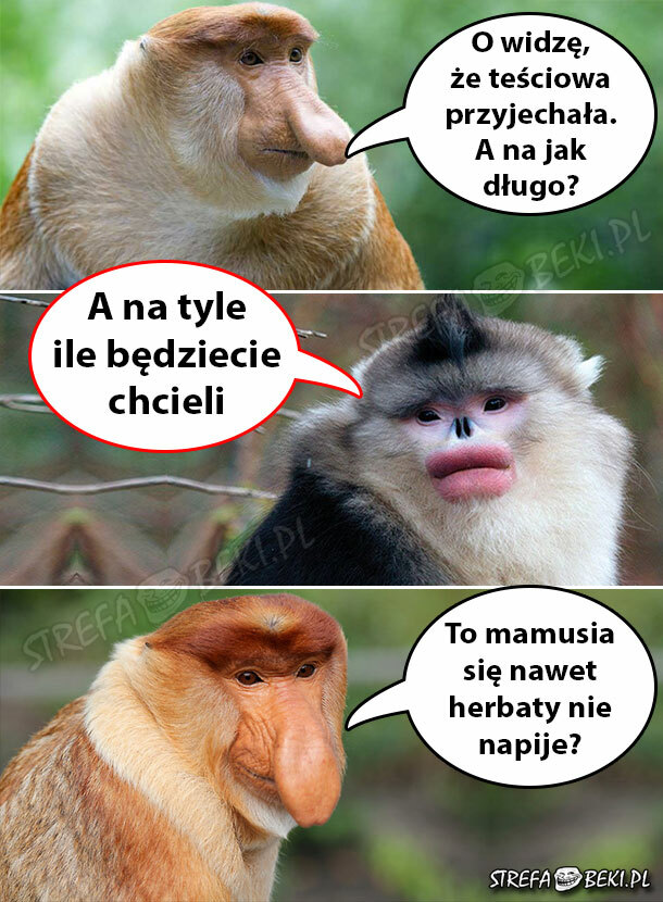 Przyjazd teściowej :D 