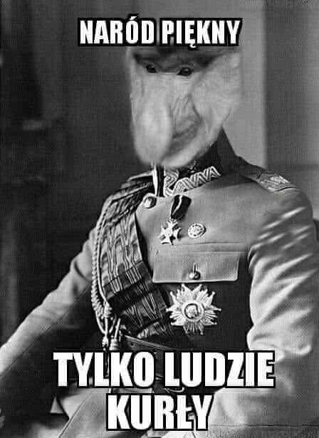 Marszałek Janusz :D 