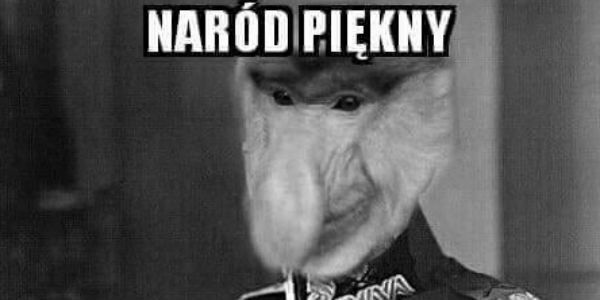 Marszałek Janusz :D 