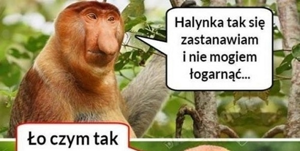 Rozkmina Janusza :D