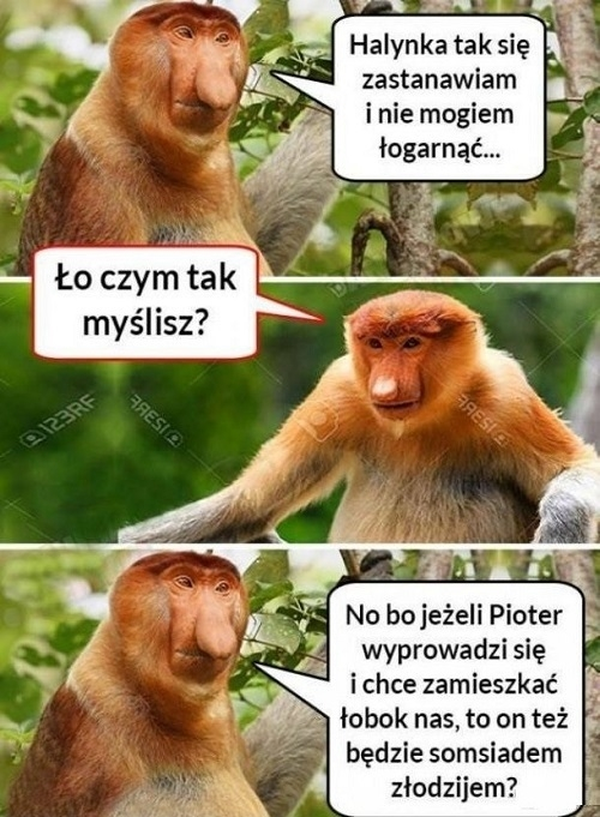 Rozkmina Janusza :D