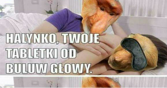 Janusz - król spryciarzy :D