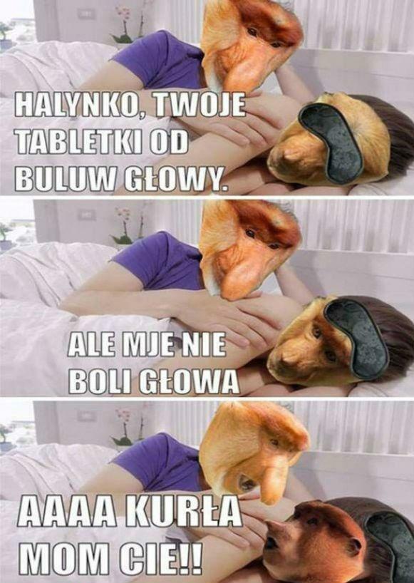 Janusz - król spryciarzy :D