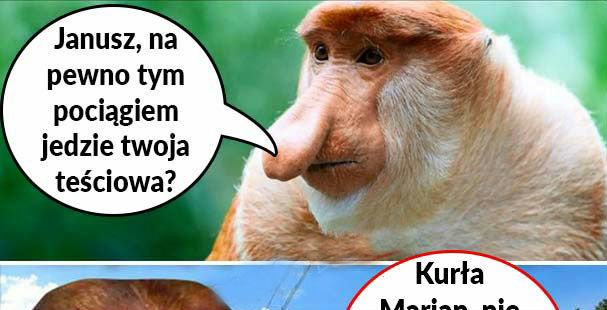 Teściowa w pociągu :D 