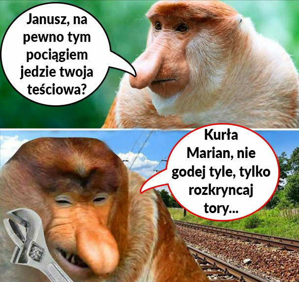 Teściowa w pociągu :D 