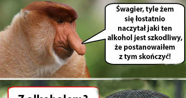 Koniec z tym. Na dobre :D
