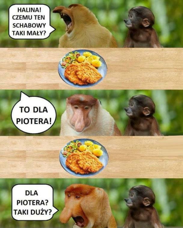 Tymczasem w polskim domu... :D