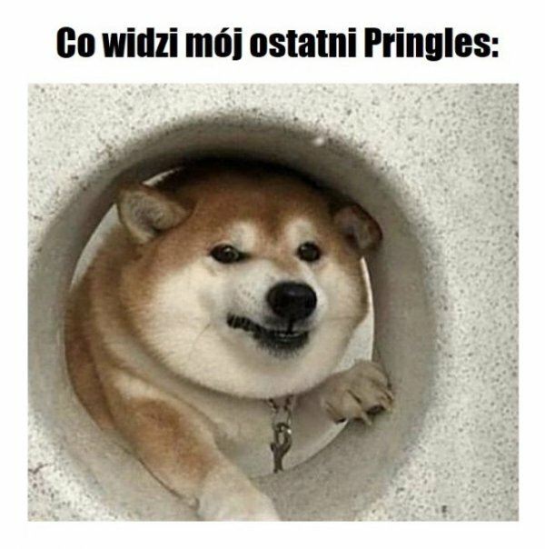 Ostatni Pringles