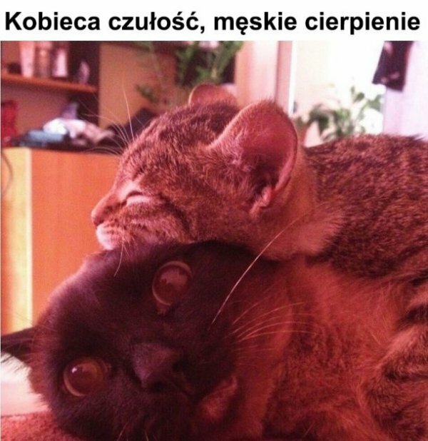 Męskie cierpienie