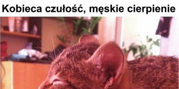 Męskie cierpienie