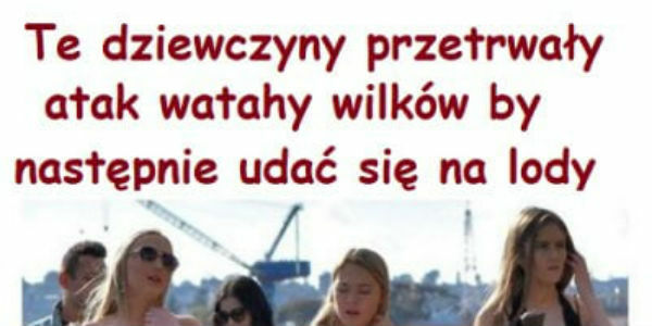 Przetrwały i poszły na lody