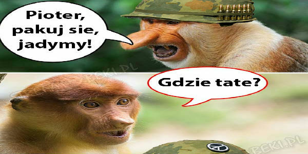 Pjoter jadymy! 