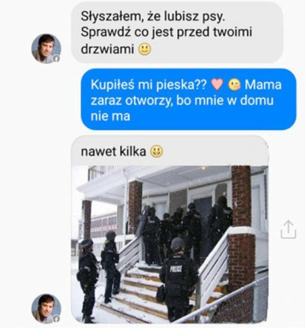 Pieski pod drzwiami <3 