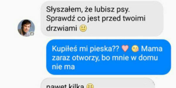 Pieski pod drzwiami <3 