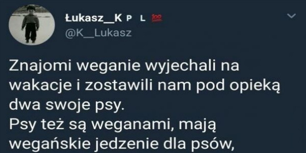Psy weganie :P 