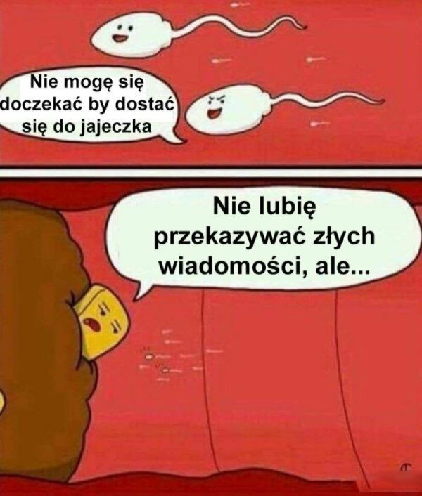 Droga do jajeczka :D