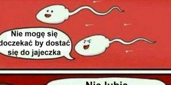 Droga do jajeczka :D