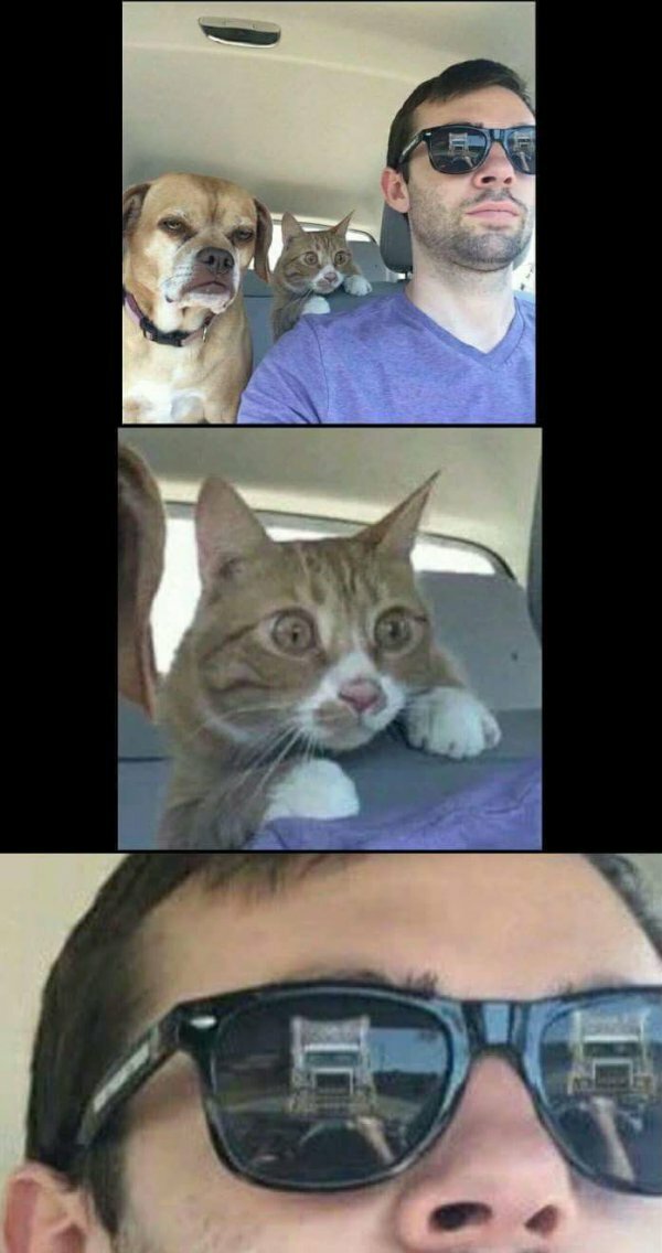 Dramat :(