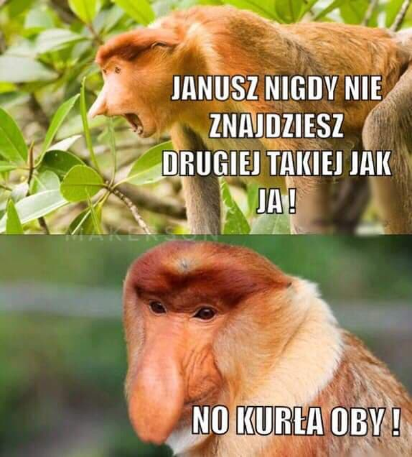 Groźba Halynki :D