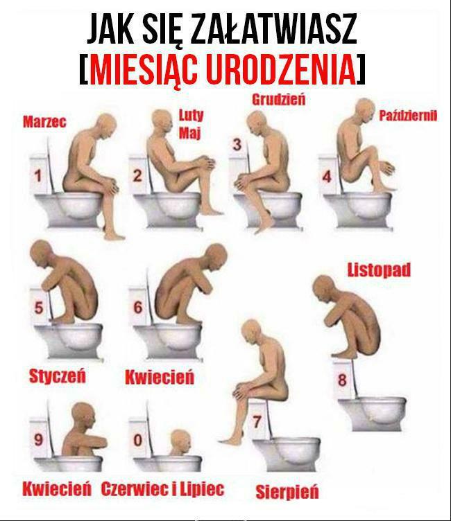 Jak się załatwiasz? :D 