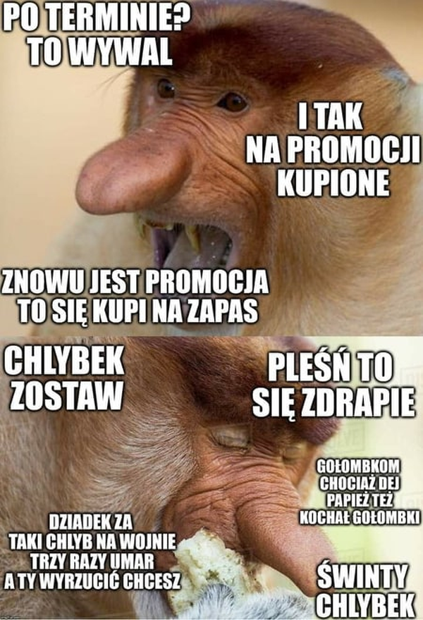 Janusz i przeterminowane jedzenie :D