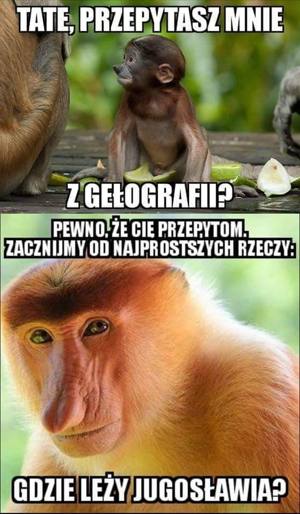 Janusz król gegry :D