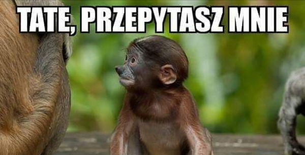 Janusz król gegry :D
