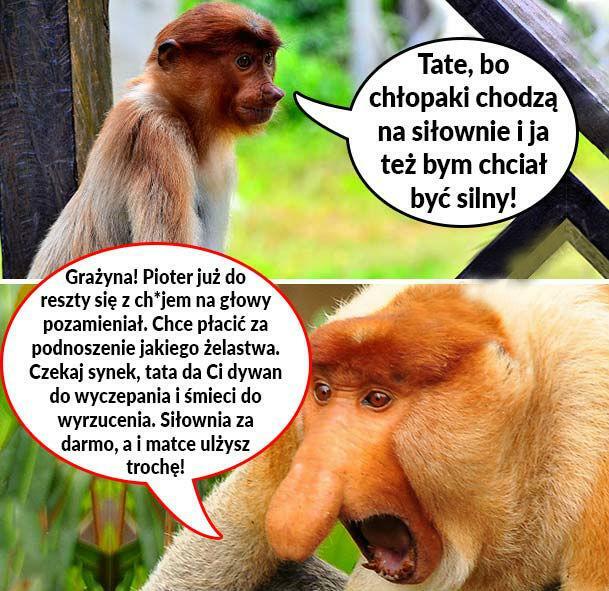 Siłownia u Janusza :D