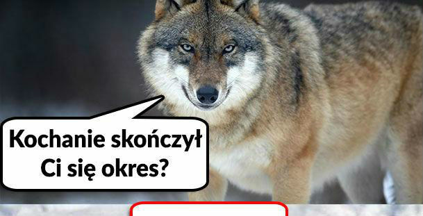 Te dni :D