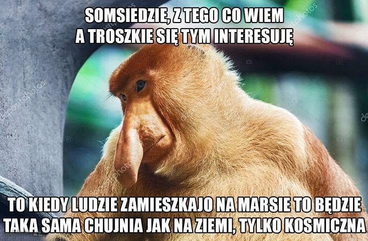 Teoria Janusza :D