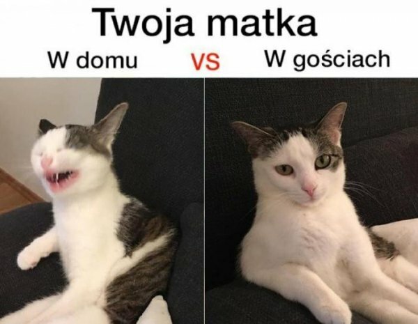 Twoja matka :D 