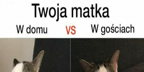 Twoja matka :D 