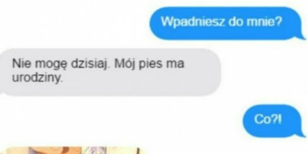 Urodziny psa