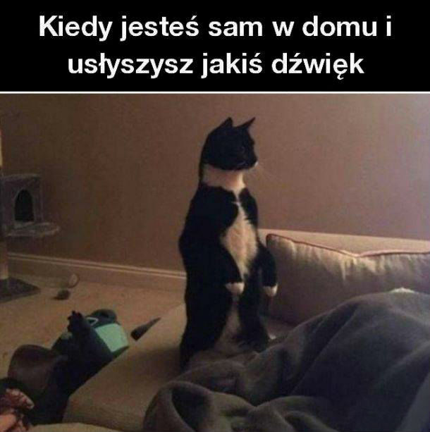 Sam w domu