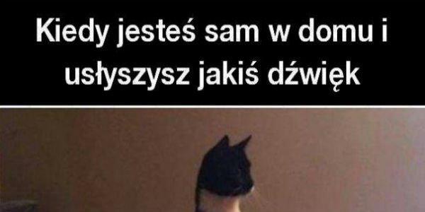 Sam w domu
