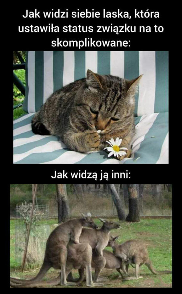 To skomplikowane :D 