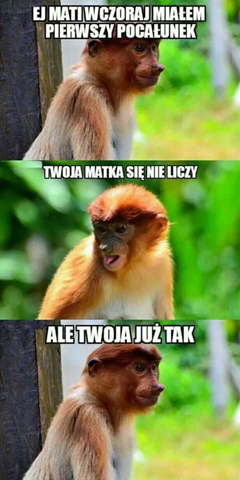 Pocałunek