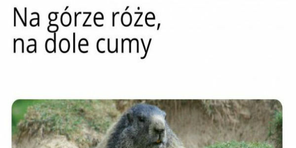 LOL XD 