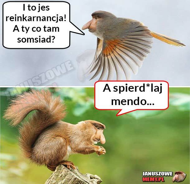 Reinkarnacja