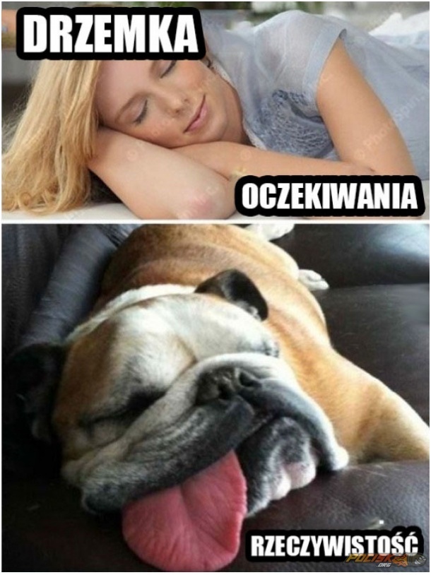 Drzemka