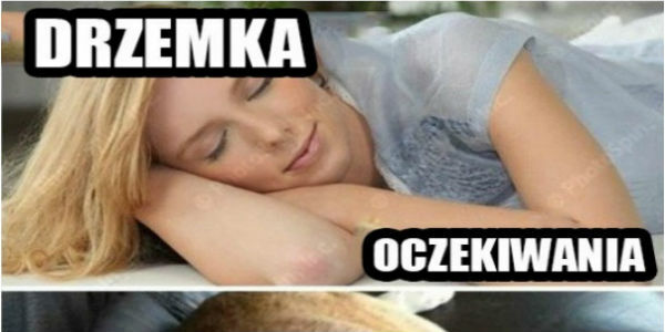 Drzemka
