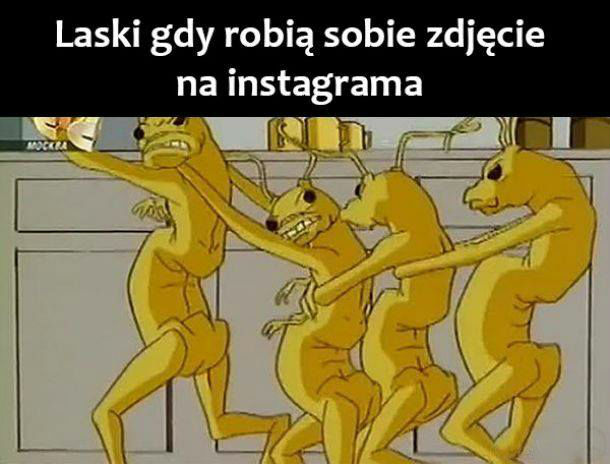 Laski na insta